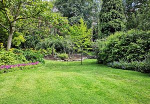 Optimiser l'expérience du jardin à Remondans-Vaivre